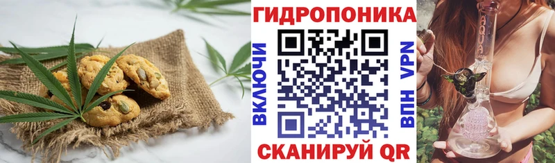 МЕГА tor  цена   Сольцы  нарко площадка наркотические препараты  Cannafood марихуана 