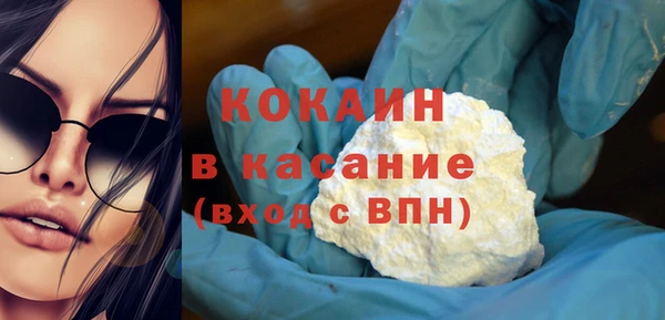 шишки Аркадак