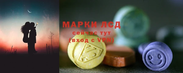 шишки Аркадак