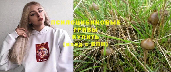 шишки Аркадак