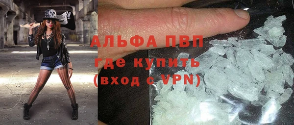 шишки Аркадак