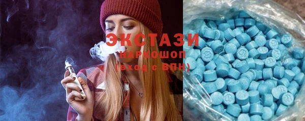 шишки Аркадак